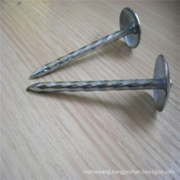 High Quality Galvanized Roofing Nails with Twisted Shank